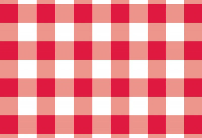 Eco-friendly fabric placemat-Gingham Red - Placemat