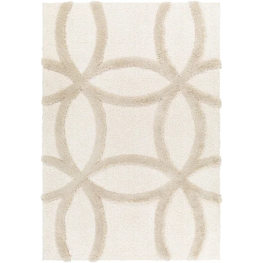 luxury carpets for modern homes -Hudson Shag HDS-2303