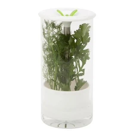 Kitchen tools for Thanksgiving-Honey Can Do Glass Herb Preserver